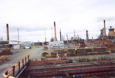 514.jpg