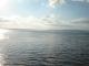 t3690.jpg