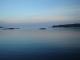 t3695.jpg